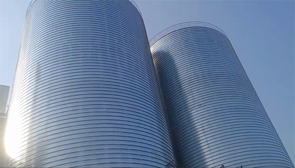 泽州2座混凝土高架卷板仓